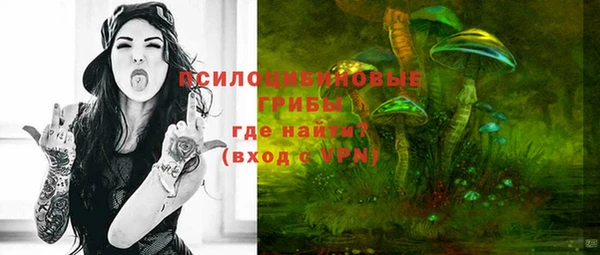 прущая мука Армянск