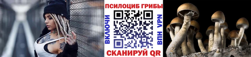 Псилоцибиновые грибы Magic Shrooms  наркотики  Ртищево 
